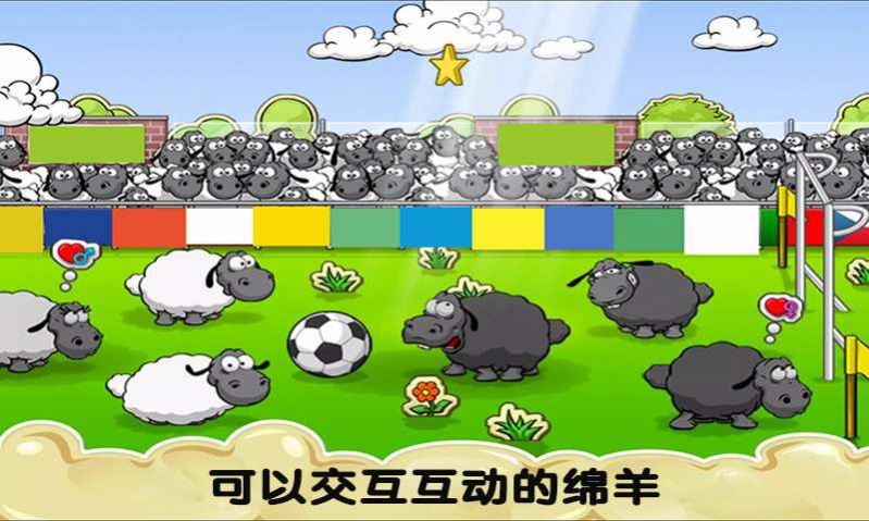 疯狂绵羊 疯狂绵羊