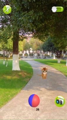 一起来捉猫 一起来捉猫