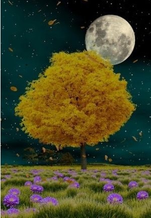 秋天的深林动态壁纸