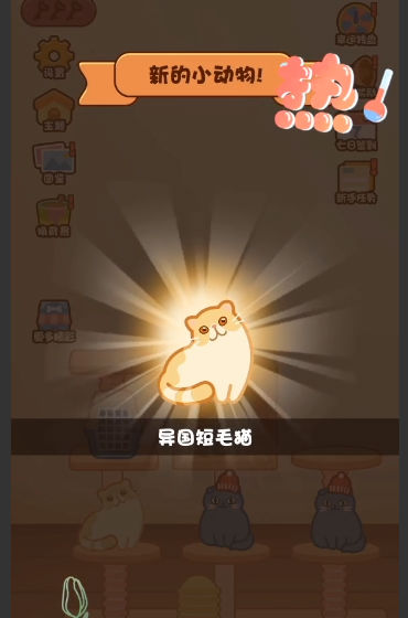 猫星人最强 猫星人最强