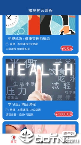 橄榄树云课堂