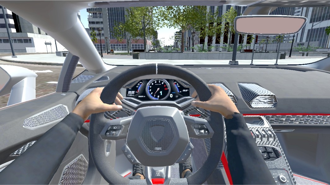 Extreme Real Car Driving(极限真车驾驶)