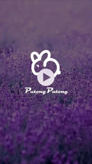 扑通扑通 扑通扑通