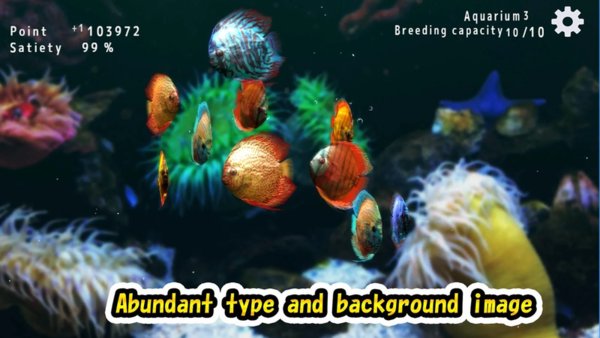 热带鱼水族馆(discus) 热带鱼水族馆(discus)