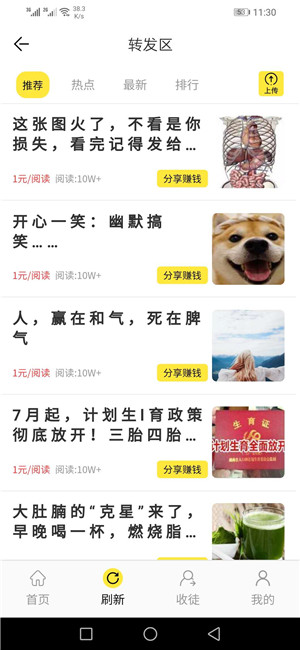 迎春涨