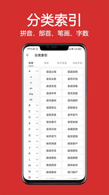 成语词典精编版