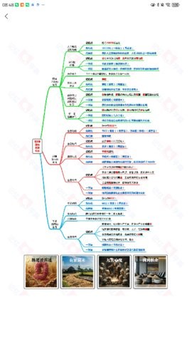 记忆字典 记忆字典