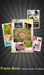 InstaPicFrame Pro专业拼图