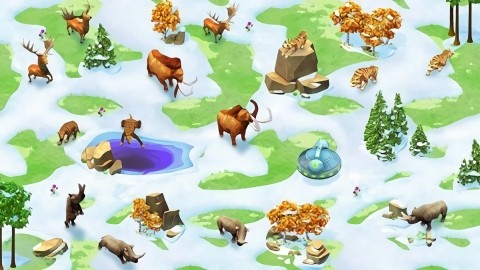 wonder zoo