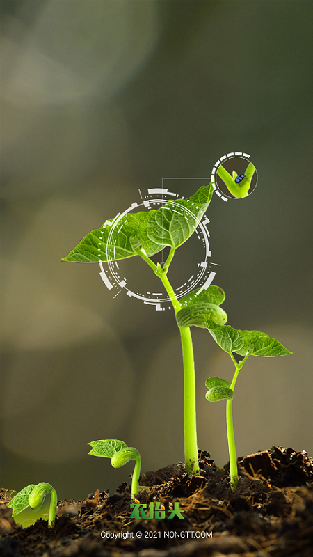 农抬头四情监测App