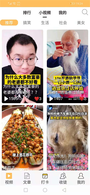 棕熊网