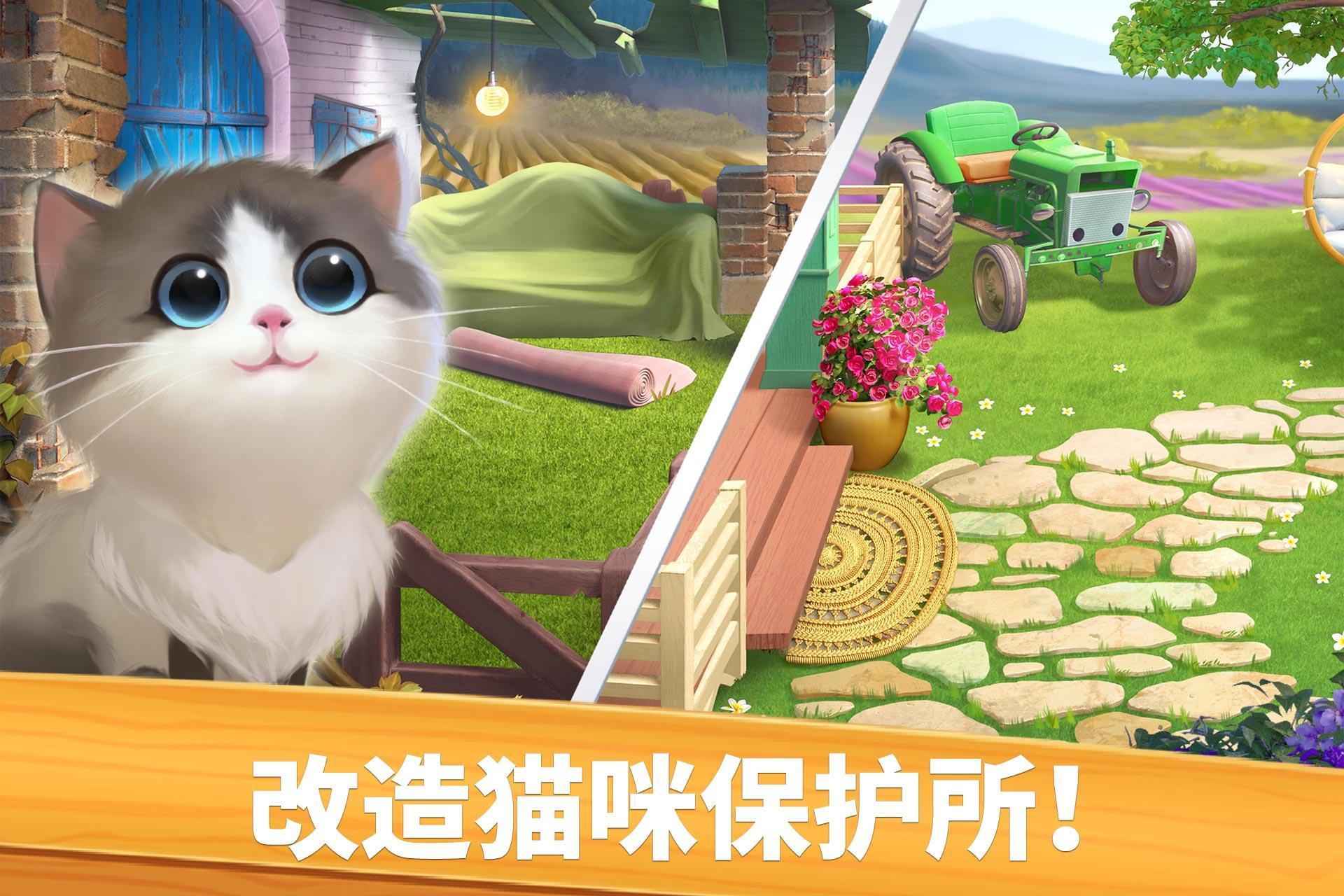 喵喵配对（Meow Match）