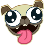 Pug Rapids(小狗帕克漂流记)