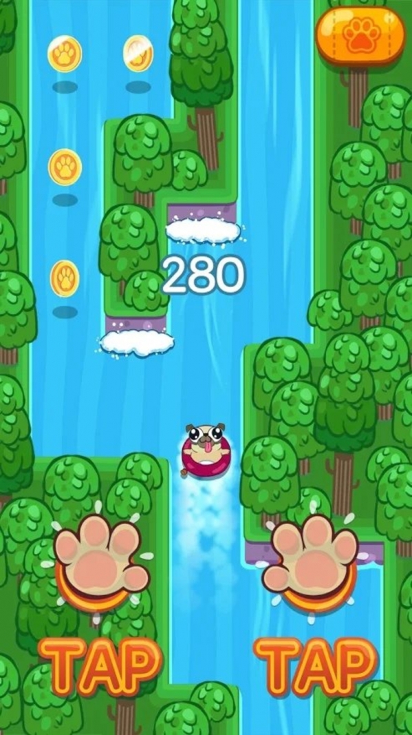 Pug Rapids(小狗帕克漂流记)