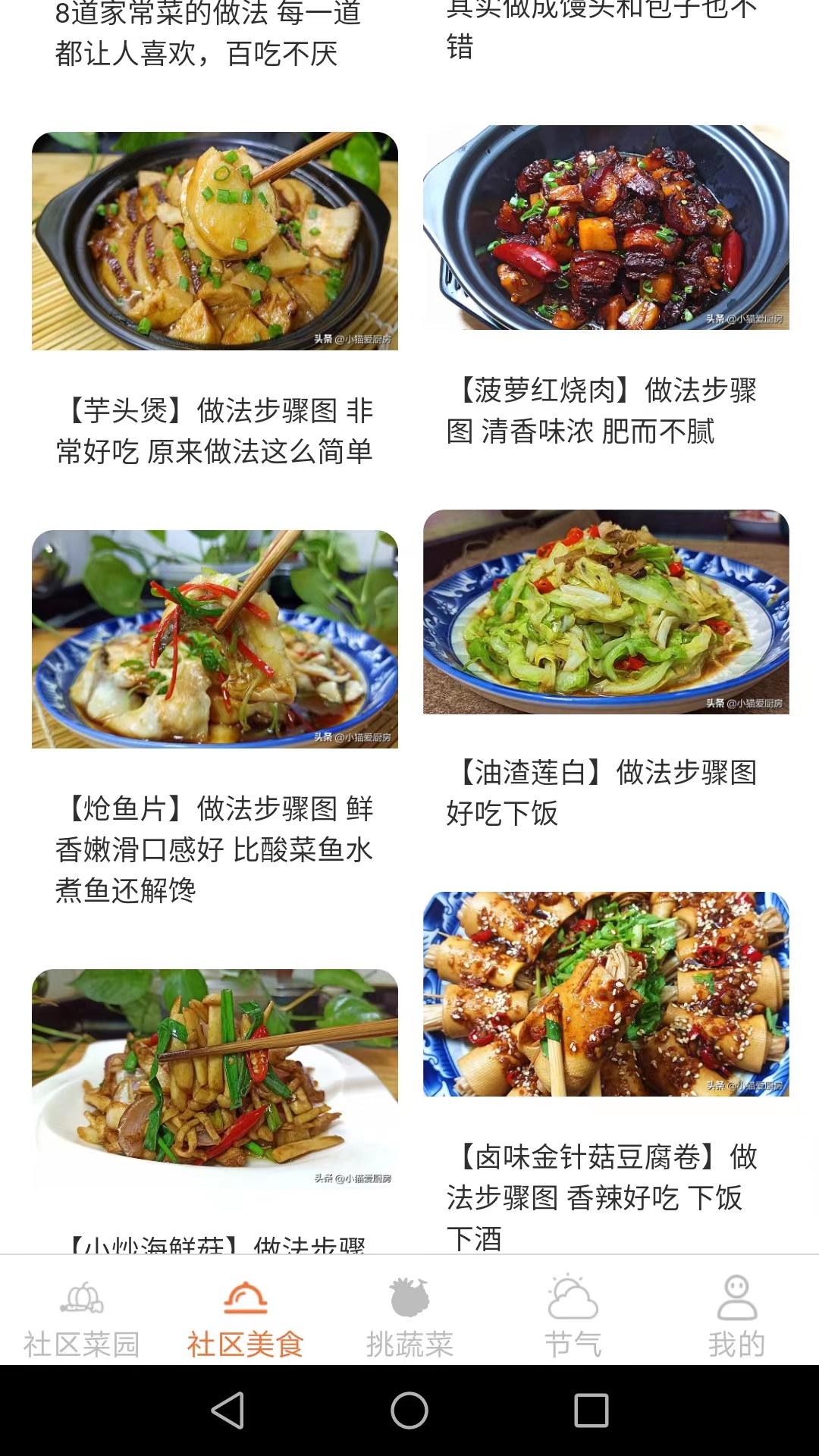 社区菜园子