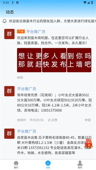 找苗木