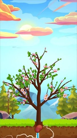 生命之树 生命之树