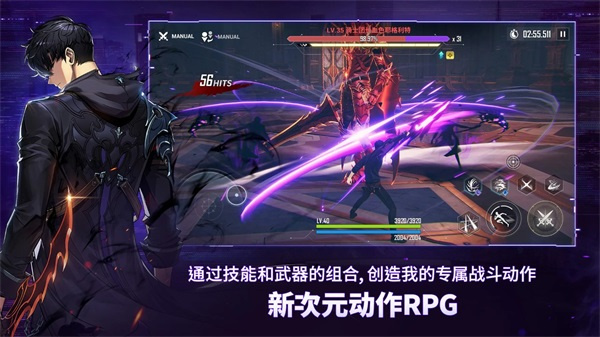 Solo Leveling:Arise安装器