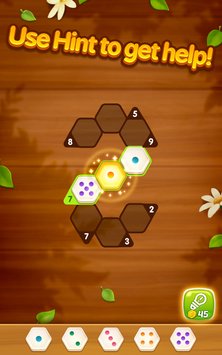 Number Puzzle Hexa(六角数字拼图)