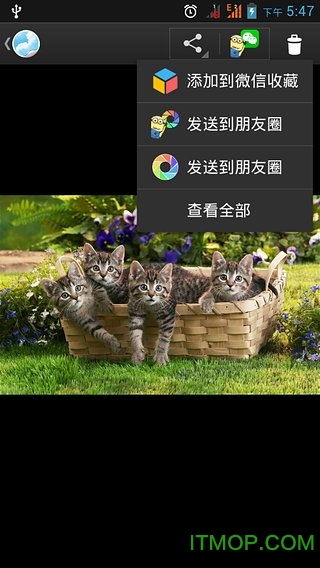 微信小尾巴客户端