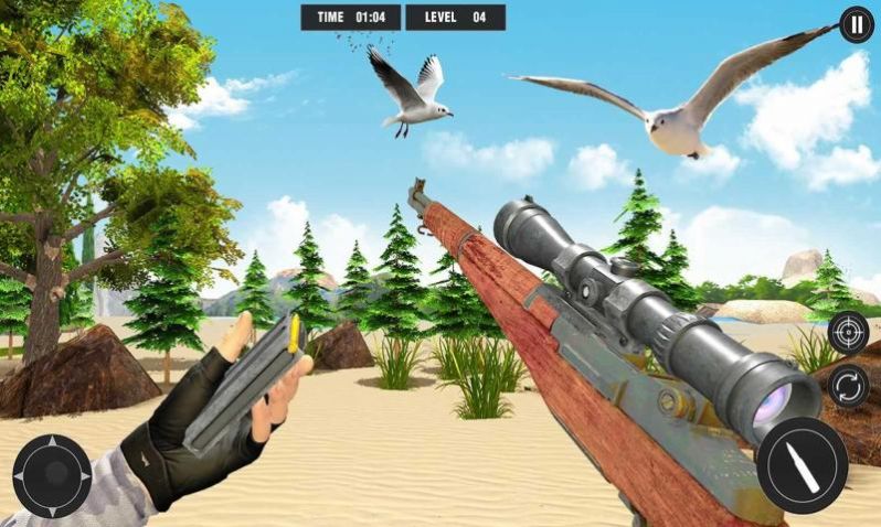 3D Bird hunter(3D猎鸟人)