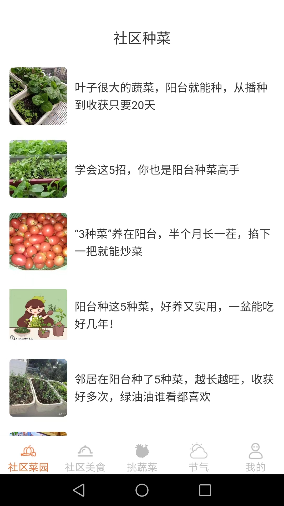 社区菜园子