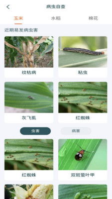 鲁担惠农村集体版