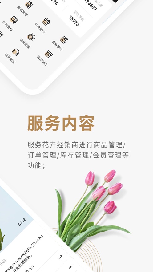 花商荟