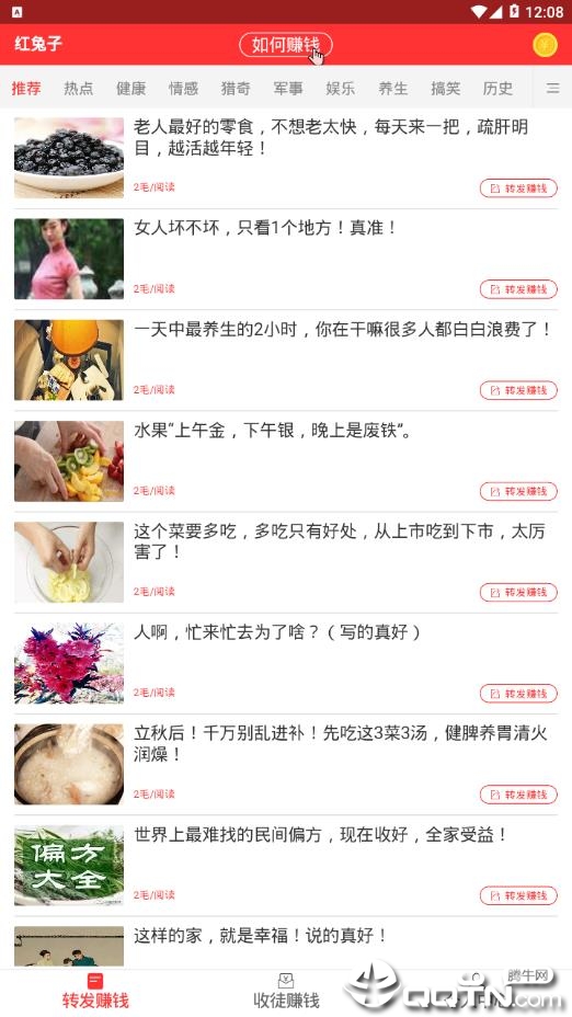 红兔子