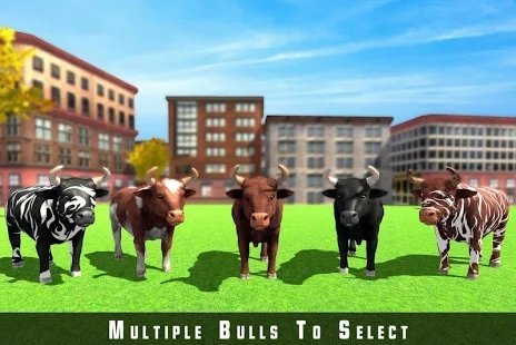 愤怒野牛赛跑(Crazy vs real bull run)