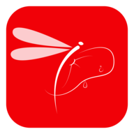 小荷塘