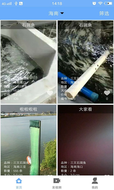 渔多多