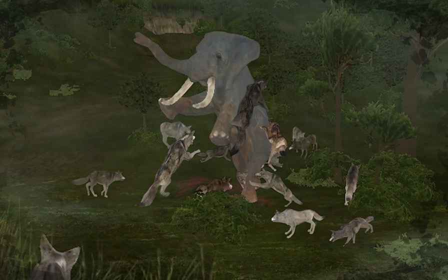 WildAnimalsOnline(丛林法则3.0破解版下载)