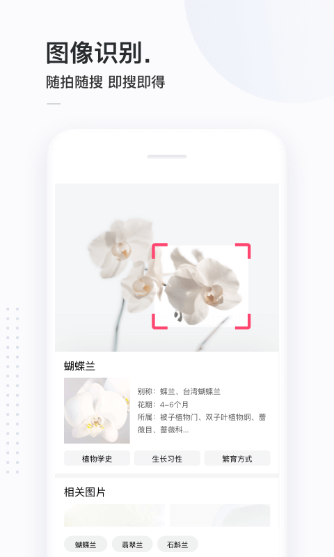 一搜索 一搜索