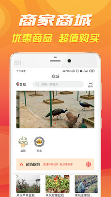 休闲合肥