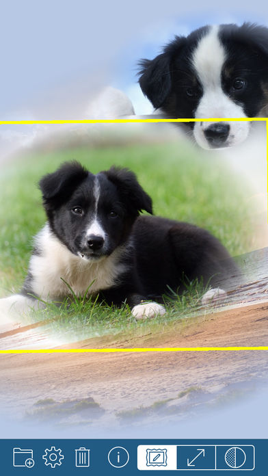 PhotoTangler Collage Maker中文版下载