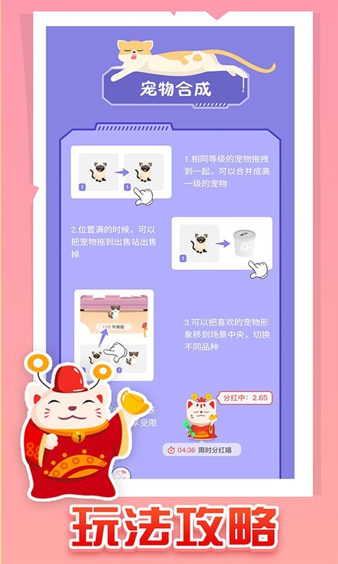 疯狂猫咪 疯狂猫咪