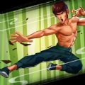 Kung Fu Attack