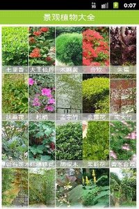 景观植物大全
