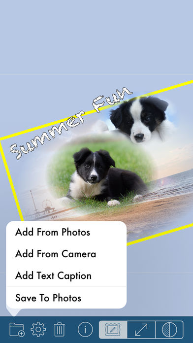 PhotoTangler Collage Maker中文版下载