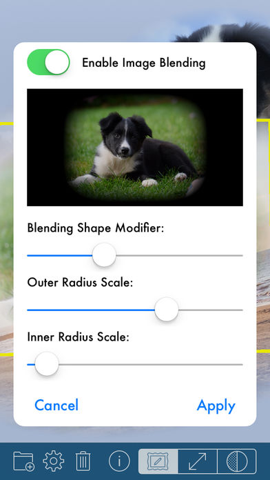 PhotoTangler Collage Maker中文版下载
