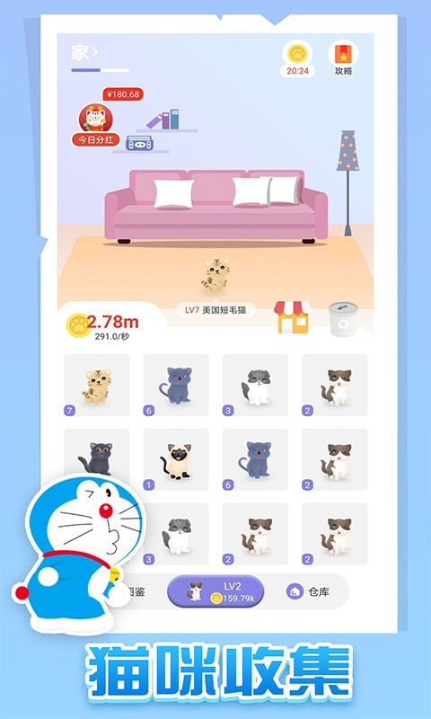 疯狂猫咪 疯狂猫咪
