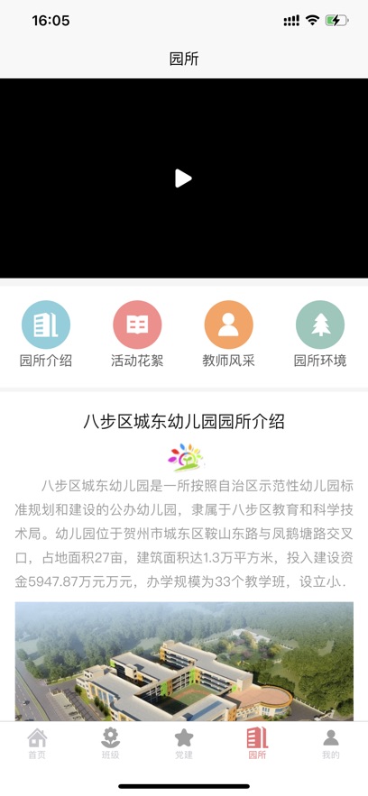 晓树苗