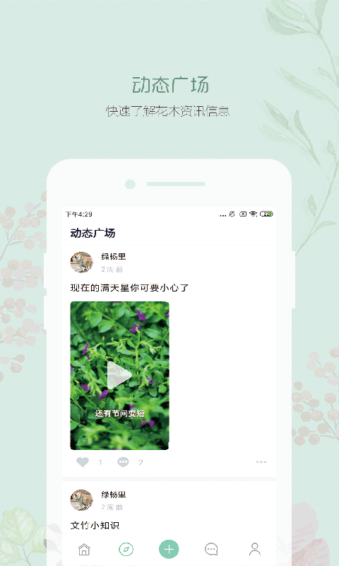 懂花木 懂花木