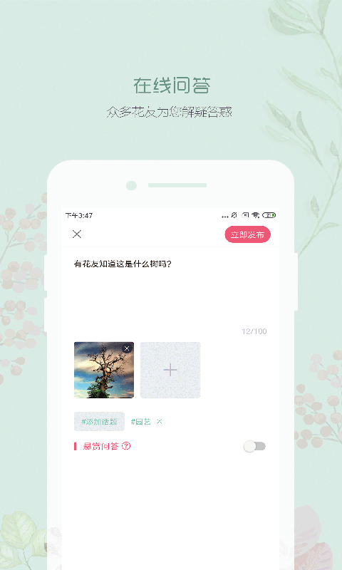 懂花木