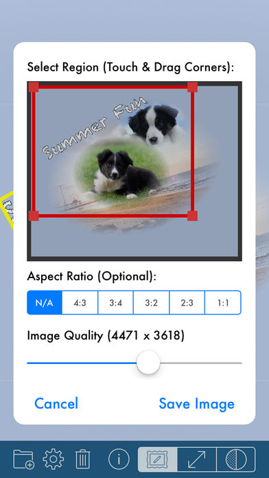 PhotoTangler Collage Maker中文版下载 PhotoTangler Collage Maker中文版下载
