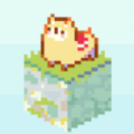 A Lonely Alpaca