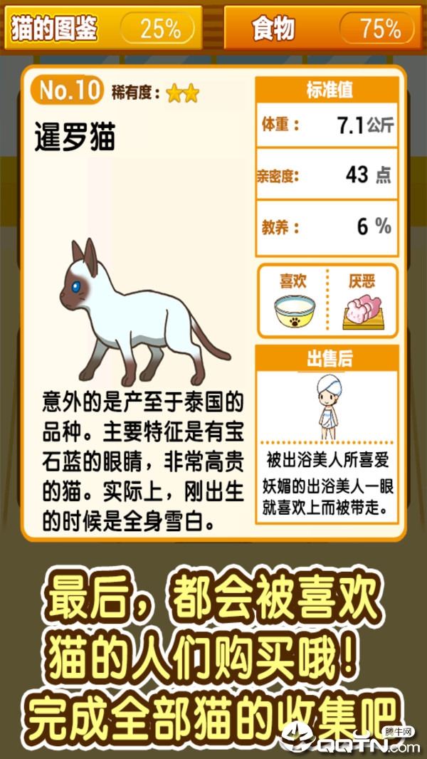 小猫仔咖啡店