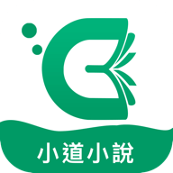 小道小說