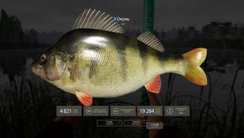 俄罗斯钓鱼4手机版 俄罗斯钓鱼4手机版